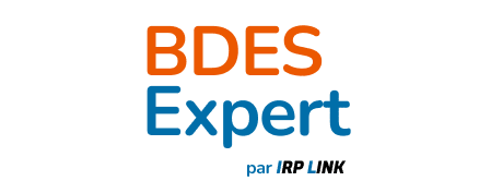 logo BDES Expert par IRP Link vertical
